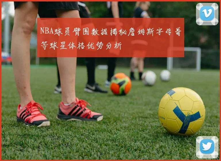 NBA球员臂围数据揭秘詹姆斯字母哥等球星体格优势分析