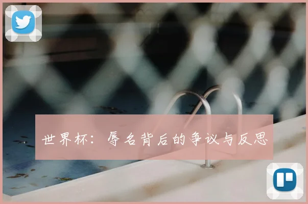 世界杯：辱名背后的争议与反思