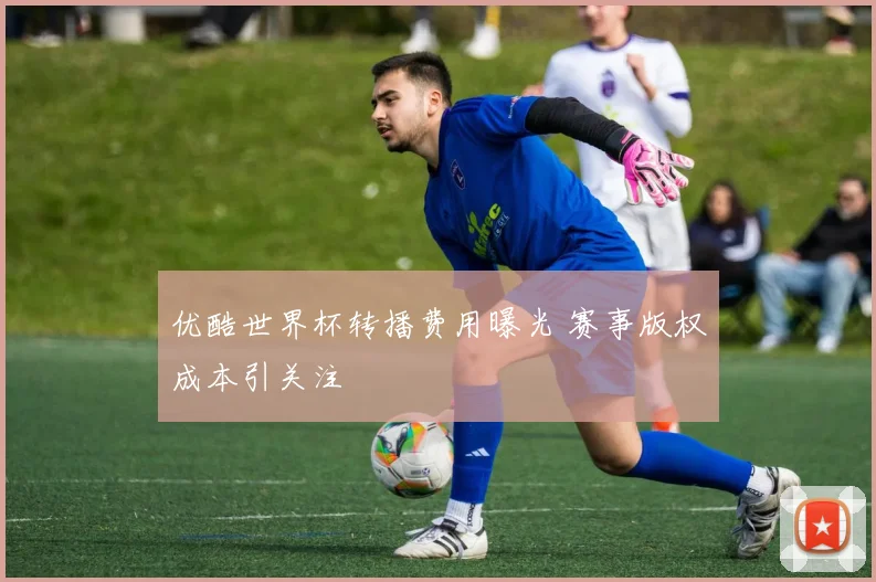 优酷世界杯转播费用曝光 赛事版权成本引关注