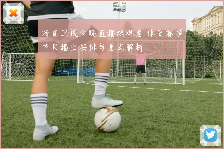 河南卫视今晚直播线观看 体育赛事节目播出安排与看点解析