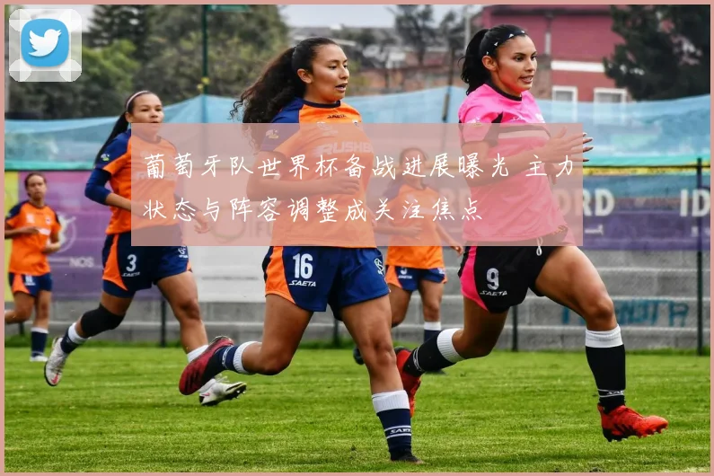 葡萄牙队世界杯备战进展曝光 主力状态与阵容调整成关注焦点