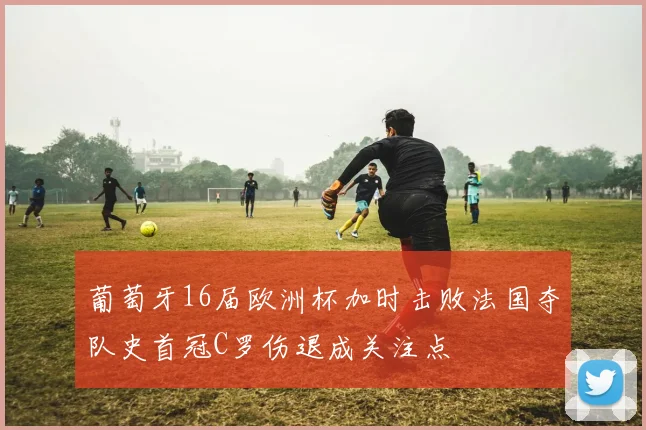 葡萄牙16届欧洲杯加时击败法国夺队史首冠C罗伤退成关注点