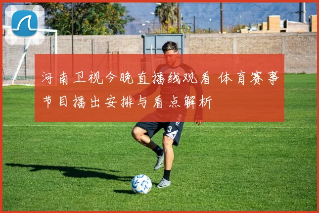 河南卫视今晚直播线观看 体育赛事节目播出安排与看点解析