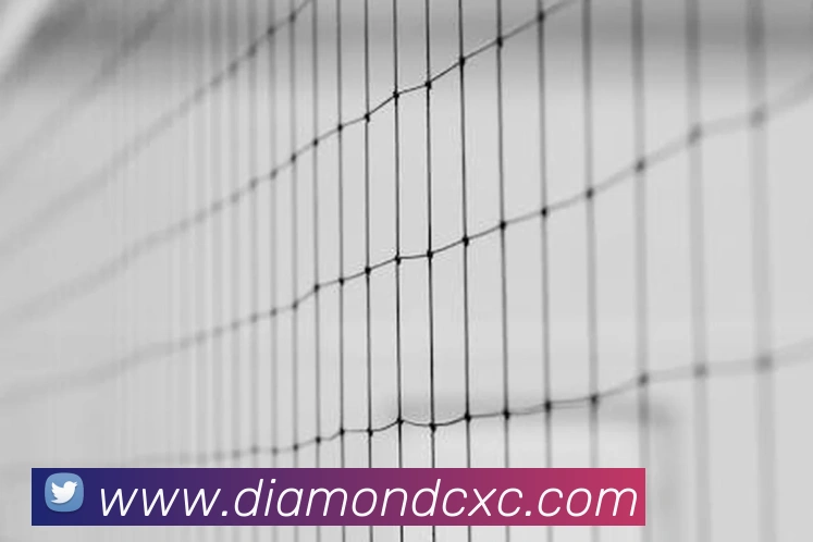 App Interface Preview